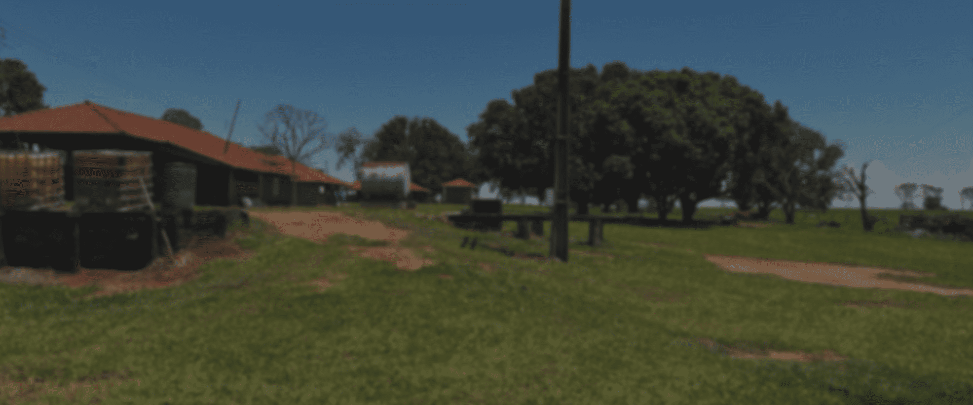 Clientes da Araújo Fazendas